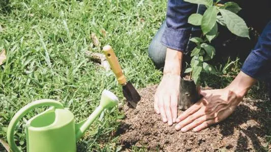 Unternehmen Omach Gartenlandschaftsbau