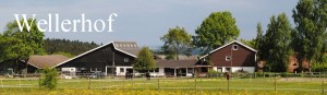 Firmenlogo von Reitanlage Wellerhof