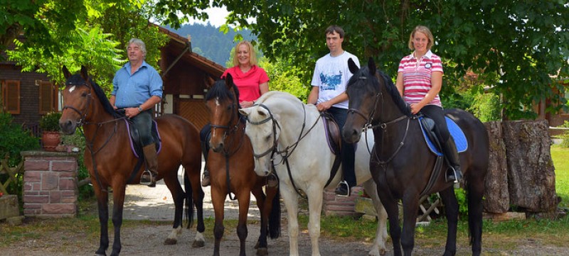 Unternehmen Reitanlage Wellerhof