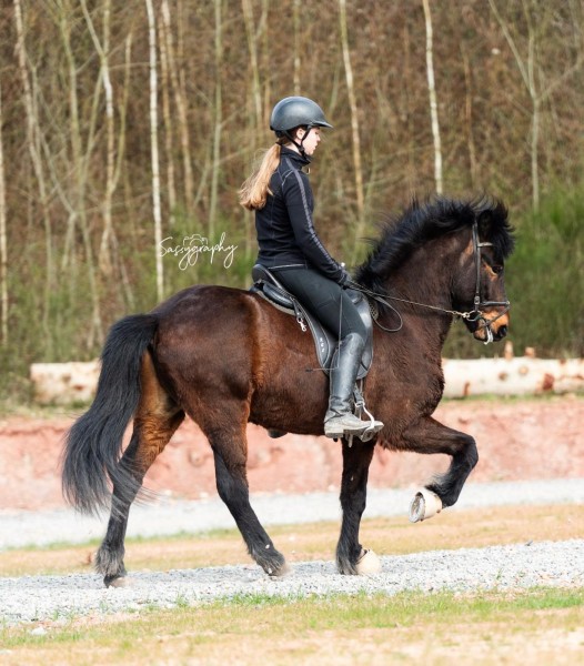 Galeriebild 7T2FQgr1MV.jpg
