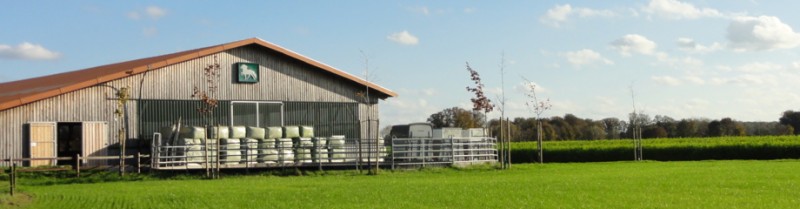 Unternehmen Islandpferdehof Olgemöller