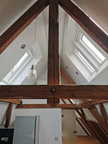 Galeriebild yHCQf0ucge.jpg